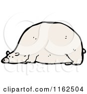 Poster, Art Print Of Polar Bear Resting