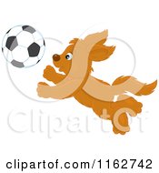 Poster, Art Print Of Puppy Chasing A Soccer Ball