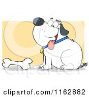Poster, Art Print Of Happy Chubby White Dog Sitting By A Bone On Yellow