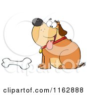 Poster, Art Print Of Happy Chubby Brown Dog Sitting By A Bone