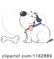 Poster, Art Print Of Happy Chubby White Dog Sitting By A Bone
