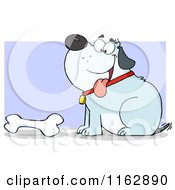 Poster, Art Print Of Happy Chubby Blue Dog Sitting By A Bone On Purple