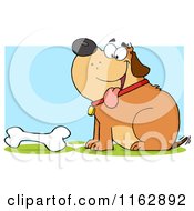 Poster, Art Print Of Happy Chubby Brown Dog Sitting By A Bone On Blue