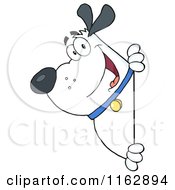 Poster, Art Print Of Happy Chubby White Dog Looking Around A Sign