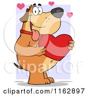 Poster, Art Print Of Happy Chubby Brown Dog Holding A Red Valentine Heart Over Purple