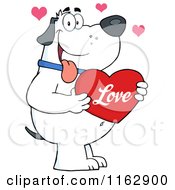 Poster, Art Print Of Happy Chubby White Dog Holding A Red Valentine Heart