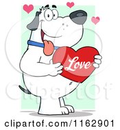 Poster, Art Print Of Happy Chubby White Dog Holding A Red Love Valentine Heart On Green