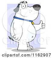 Cartoon Of A Happy Chubby White Dog Standing And Holding A Thumb Up Over Purple Royalty Free Vector Clipart