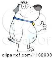 Cartoon Of A Happy Chubby White Dog Standing And Holding A Thumb Up Royalty Free Vector Clipart