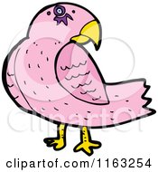 Cartoon Of A Pink Parrot Royalty Free Vector Illustration by lineartestpilot