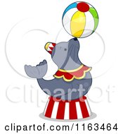 Circus Seal Balancing A Ball
