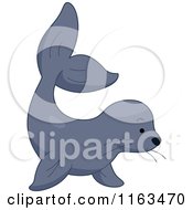 Poster, Art Print Of Cute Sea Lion