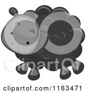 Poster, Art Print Of Cute Black Sheep Lamb