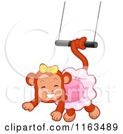 Circus Monkey Swinging From A Trapeze