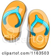 Pair Of Orange And Blue Flip Flops