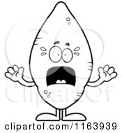Cartoon Of A Scared Sweet Potato Mascot Vector Outlined Coloring Page