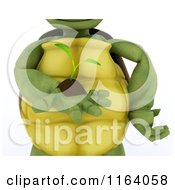 3d Cropped Tortoise Holding A Seedling Plant