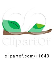 Poster, Art Print Of Flat Green Sandals