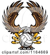 Bald Eagle Flying With A Volleyball In Its Talons