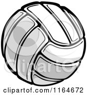 Poster, Art Print Of Standard Volleyball