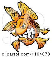 Aggressive Goldfish
