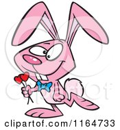 Cartoon Of A Romantic Pink Valentine Bunny Rabbit Carrying Hearts Royalty Free Vector Clipart