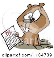 Distressed Groundhog Holding A February Calendar