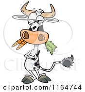 Poster, Art Print Of Cow With Folded Arms Munching On Carrots