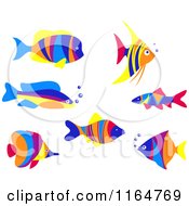 Clipart Of Colorful Marine Fish Royalty Free Vector Illustration