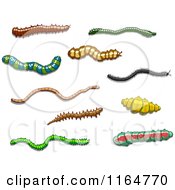 Clipart Of Worms And Grubs Royalty Free Vector Illustration