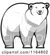 Poster, Art Print Of Polar Bear 6