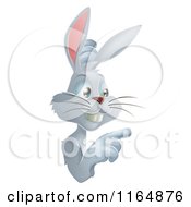 Cartoon Of A Gray Bunny Pointing To A Sign Royalty Free Vector Clipart