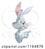 Poster, Art Print Of Gray Bunny Pointing To A Sign