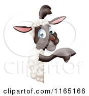 Cartoon Of A Happy Sheep Pointing To A Sign Royalty Free Vector Clipart