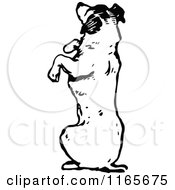 Clipart Of A Retro Vintage Black And White Begging Dog Royalty Free Vector Illustration