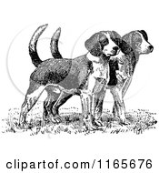 Clipart Of Retro Vintage Black And White Beagle Puppies Royalty Free Vector Illustration