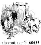 Poster, Art Print Of Retro Vintage Black And White Puppies Playing In A Saucer