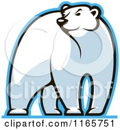 Poster, Art Print Of Polar Bear Glancing