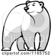 Poster, Art Print Of Black And White Bear Glancing