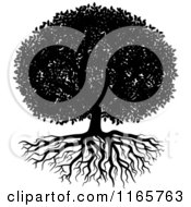 Clipart Of A Black And White Lush Tree And Roots Royalty Free Vector Illustration