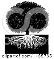 Clipart Of A Black And White Lush Tree And Roots 2 Royalty Free Vector Illustration