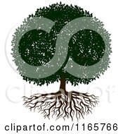 Clipart Of A Lush Tree And Roots Royalty Free Vector Illustration