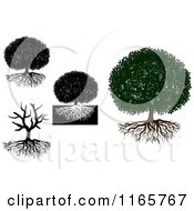 Poster, Art Print Of Trees And Roots