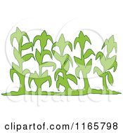 Poster, Art Print Of Row Of Green Corn Stalks