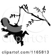 Poster, Art Print Of Silhouetted Girl Hanging From A Branch