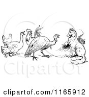 Poster, Art Print Of Retro Vintage Black And White Fox Turkey And Birds