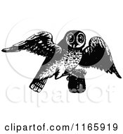 Poster, Art Print Of Retro Vintage Black And White Owl Flying With A Pourch