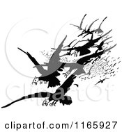Clipart Of A Retro Vintage Black And White Group Of Attacking Birds Of Prey Royalty Free Vector Illustration