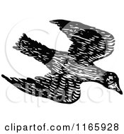 Clipart Of A Retro Vintage Black And White Flying Bird Royalty Free Vector Illustration