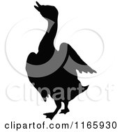 Poster, Art Print Of Silhouetted Duck